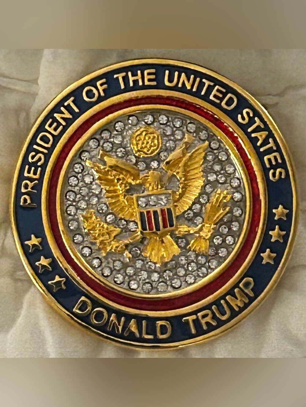 Ann Hand - Donald Trump Inagural Presidential Appointee Pin - New